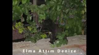 Elma Attım Denize - Rüstem Avcı