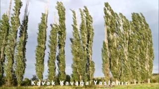 Kavak Kavağa Yaslanır - Elvan Sevim