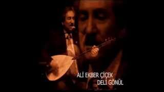 Ali Ekber Çiçek-Deli Gönül Hangi Dala Konarsın[© Şah Plak]