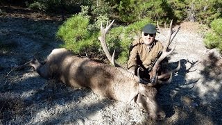Red Deer Hunting in Turkey - Recep Ecer - Ertuğrul Kaplan Kızıl Geyik Avı