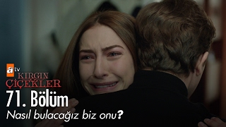 Nasıl bulacağız biz onu? - Kırgın Çiçekler 71. Bölüm - atv