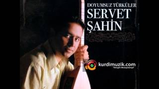 Servet şahin - Kavağın Dalı İnce