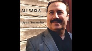 Ali Yayla - İncelem Yar İncelem (Official Audio)