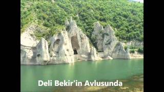 Deli Bekir'in Avlusunda - Rüstem Avcı