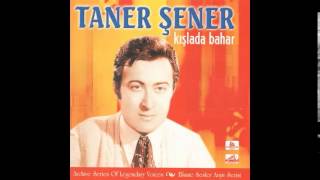 Taner Şener - Her Şeyinle Güzelsin İstanbul