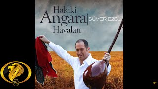 Kalenin Bayır Düzü - Sümer Ezgü  (Official Audio)